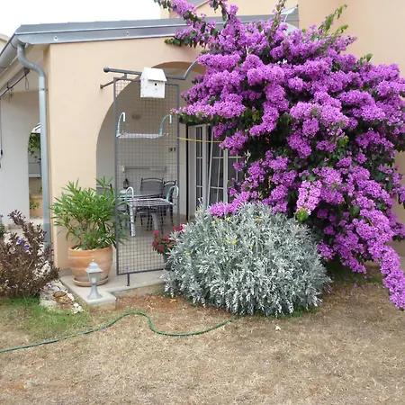 Apartman Jasna 1006 Vinkuran